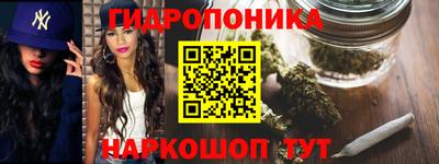 прущие грибы Севастополь