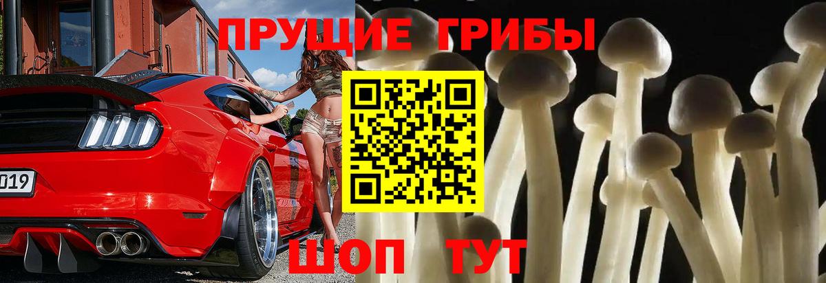 Псилоцибиновые грибы MAGIC MUSHROOMS Новотроицк